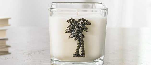 https://www.gaylordhotelsstore.com/images/hp-points/mobile/lemongrass-candle-points.jpg