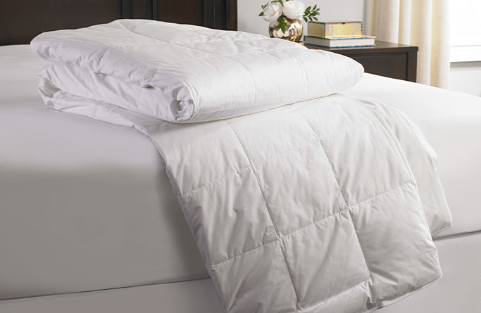 Gaylord Hotels Comforter
