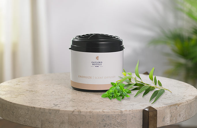 Energize Home Diffuser Refill