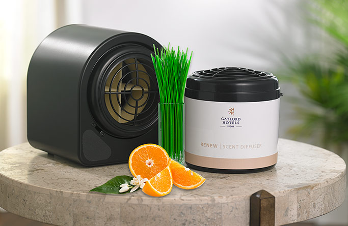 Renew Home Diffuser Set