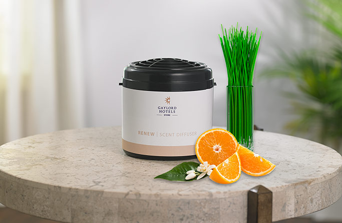 Renew Home Diffuser Refill